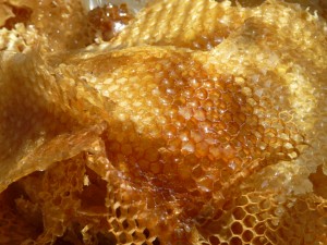 aliment-miel-2