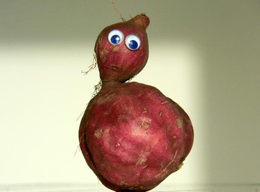 Profil santé La patate douce est consommée en plusieurs endroits dans le monde. Selon la variété, sa chair et sa pelure (mince et comestible) peuvent être blanches, jaunes, orange ou...