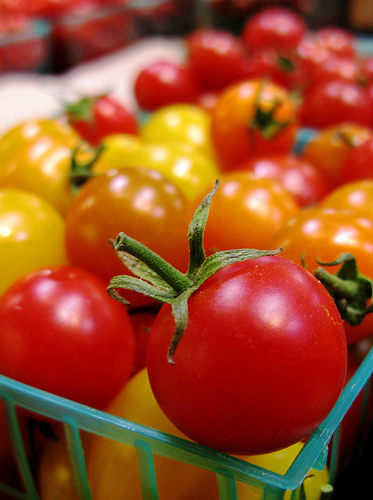 La tomate, pour la réglementation phytosanitaire internationale, est une plante annuelle de la famille des solanacées, originaire du nord-ouest de l’Amérique du Sud. Le terme désigne aussi ce fruit charnu,...