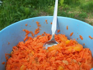 Salade de carottes et raisins sec