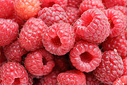 Aliment : La framboise C’est un petit fruit rouge qui compte parmi les moins caloriques. Elle est composée majoritairement d’eau, et est l’un des fruits qui possède la plus grande quantité de potassium. La...