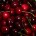 Les cerises sont de petits fruits rouges sucrés qui ressemblent de près à des tomates cerises. C’est un fruit d’été qui ne dure que 2 mois (de mi-mai à mi-juillet)...