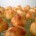 C’est la recette de base afin de faire des éclairs au chocolat ou des chouquettes. Voici sans plus tarder la recette de la pâte à choux. Ingrédients : 125 g...