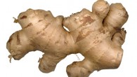 Le gingembre est une plante à l’arôme épicé, qui a une action réchauffante. La racine de la plante s’utilise en cuisine et en médecine. Le gingembre peut s’acheter frais ou...