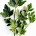 Le persil est une plante aromatique à plusieurs vertus thérapeutiques. C’est un aliment anticancéreux qui aide à éliminer les toxines que le corps assimile chaque jour. Le persil peut être utilisé...