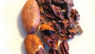 Le cacaoyer est un arbre qui vit dans l’ombre. Ses fleurs, mesurant d’un centimètre, donnent des fruits qui pèsent entre 300 et 500 grammes chacune. Ce fruit est la cabosse...