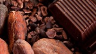 Faire son chocolat cru maison n’est pas si difficile à faire que cela, et en plus nous savons ce que nous mangeons. Ce chocolat est plus riche en valeurs nutritives...